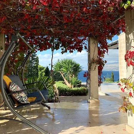 فيلة D بوستيرا